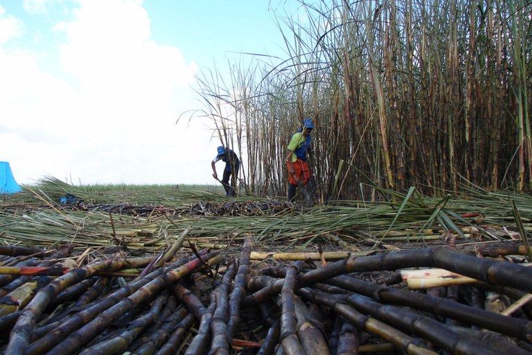 Projeto ignora reais condições do trabalho no campo e pretende estender a jornada para 12 horas